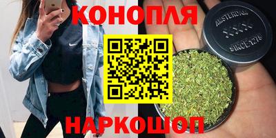 сатива Донской