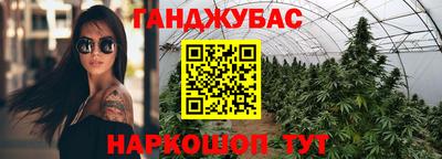 гидра Дубна