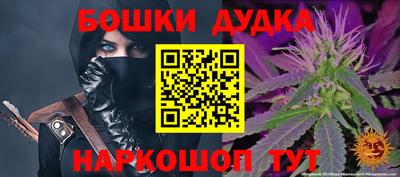гидра Дубна