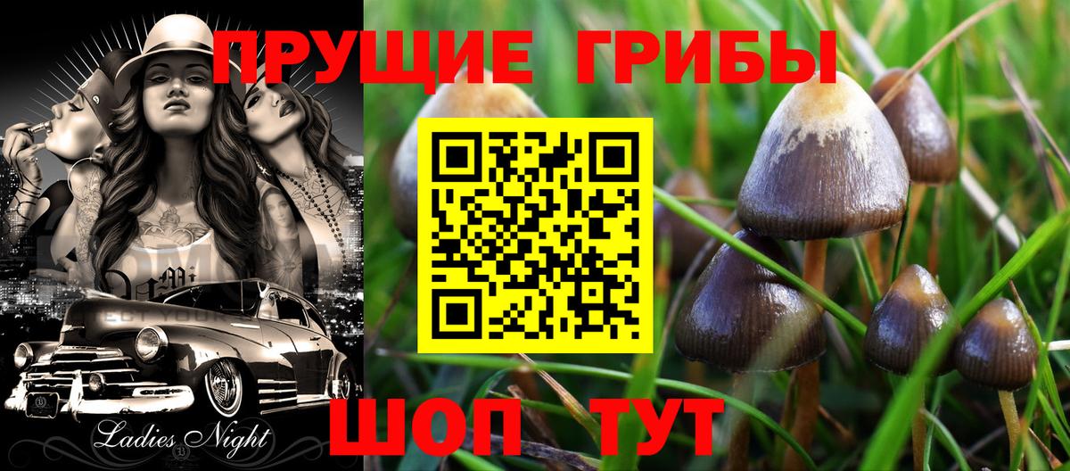 Галлюциногенные грибы GOLDEN TEACHER  где продают наркотики  Майский  Вход с VPN 